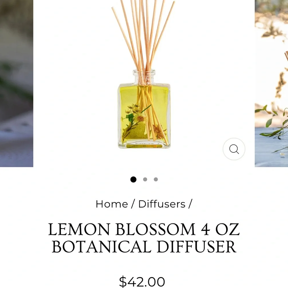 Rosy Rings Diffuser - Picture 3 of 3